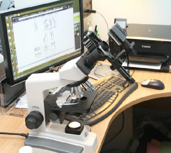 Microscope