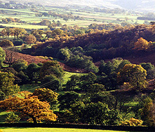 North York Moors