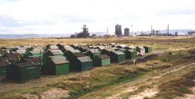 cabins.jpg - 19.9Kb
