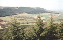 Cleveland Forest 9.6Kb