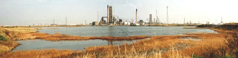 recpond.jpg - 30Kb