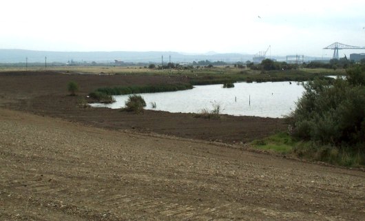 Haverton Hole 36Kb