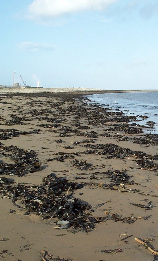 South Gare